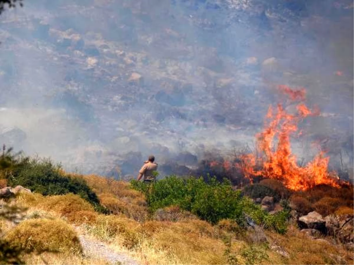 İzmir\'de otluk ve makilik alanda yangın