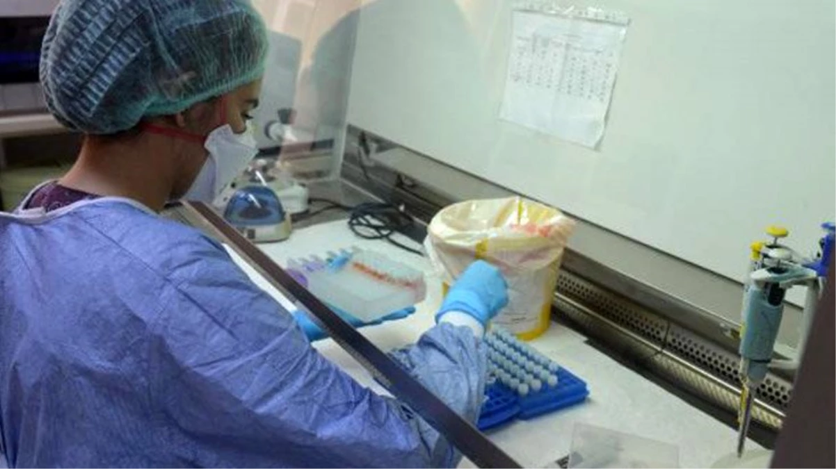 Son Dakika: Koronavirüs Türkiye\'de mutasyona uğradı mı? Bakanlık tespit için 1 ay sürecek çalışma başlattı