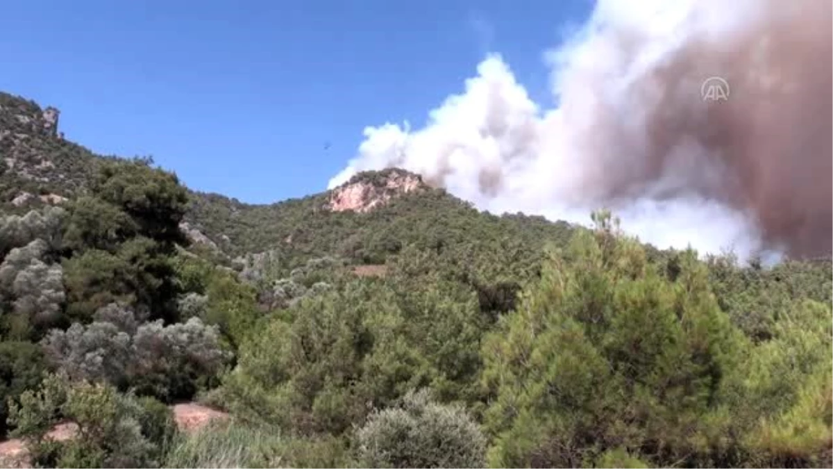Turgutlu\'daki orman yangını devam ediyor