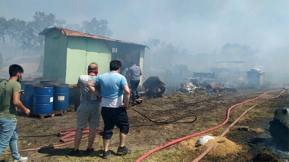 Bursa\'da çiftlikte çıkan yangın ormana sıçradı: 20 küçükbaş telef oldu