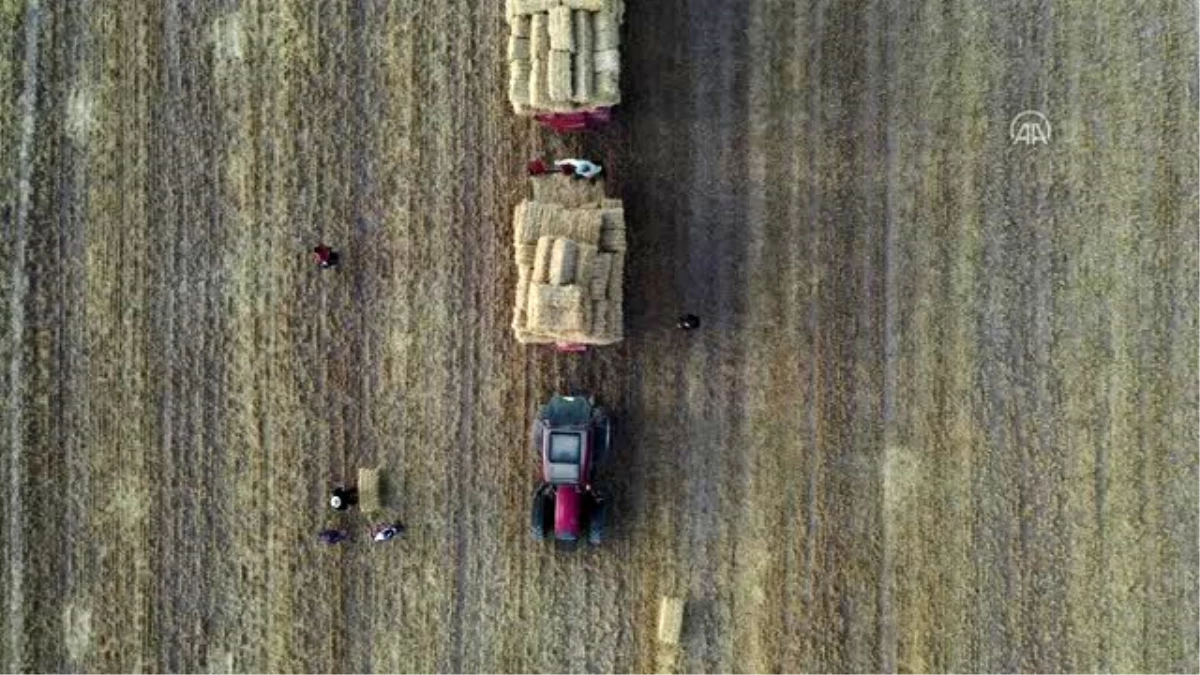 (DRONE) Konya Ovası\'nda balya işçilerinin zorlu ekmek mücadelesi