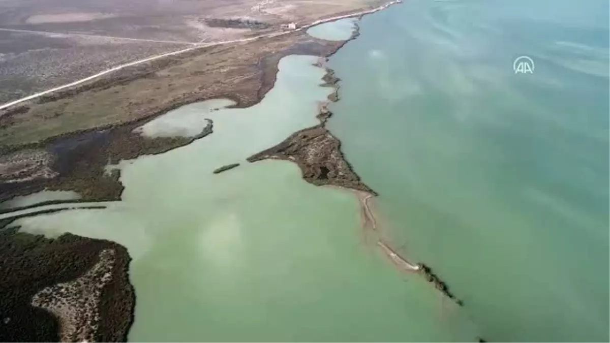 (DRONE) Türkiye\'nin büyüleyen güzelliği: Kuş cennetleri (3)