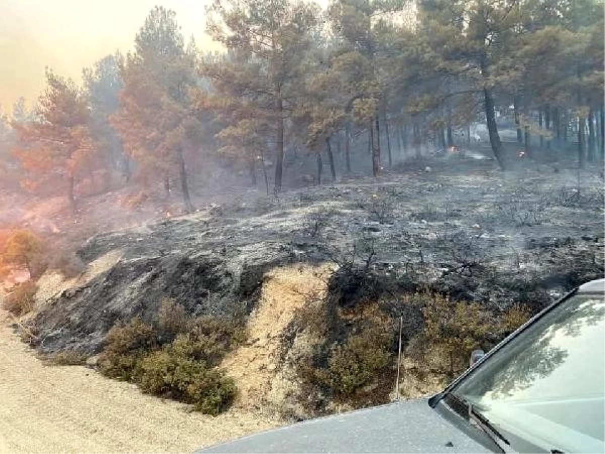 Son dakika güncel: Gökbel Dağı\'ndaki yangına havadan ve karadan müdahale sürüyor (2)