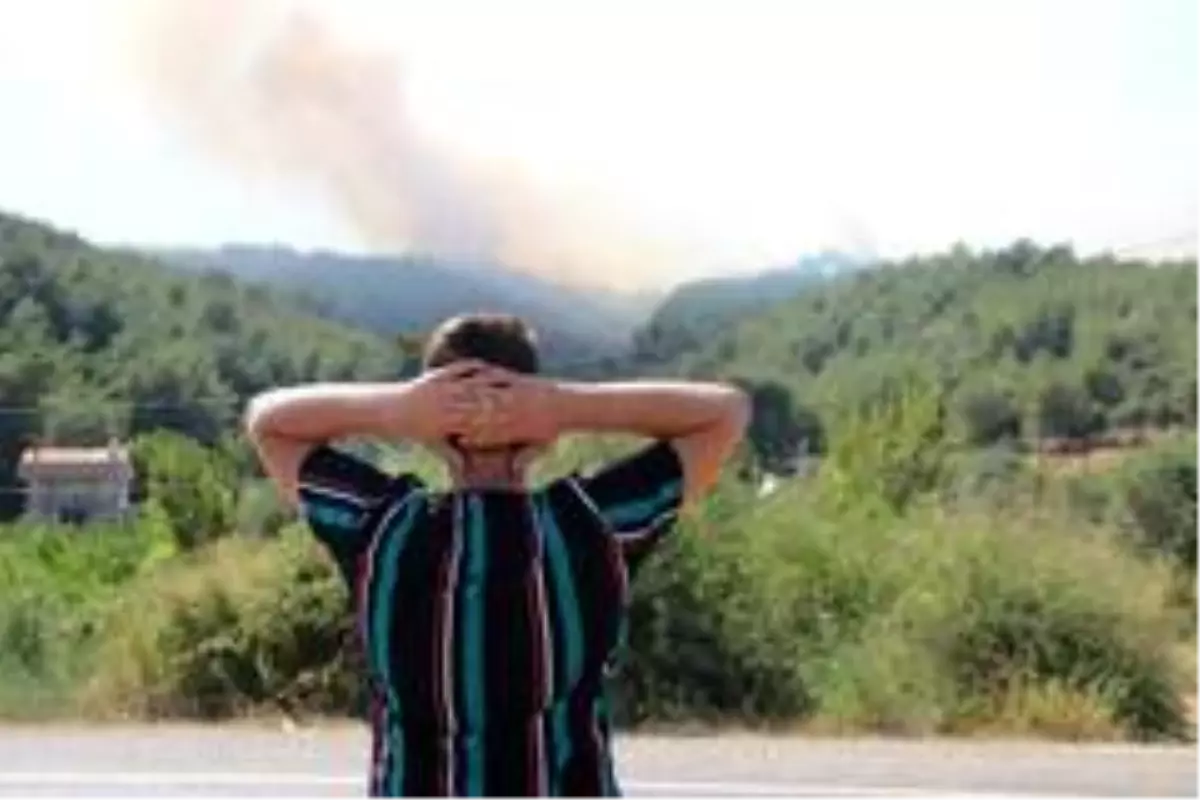 İzmir\'deki orman yangınında alevler mahalleyi tehdit ediyor