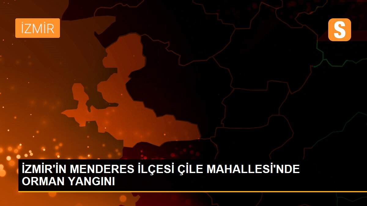 Son dakika güncel: İZMİR\'İN MENDERES İLÇESİ ÇİLE MAHALLESİ\'NDE ORMAN YANGINI