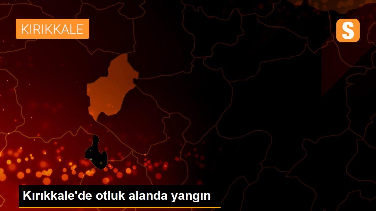 Kırıkkale\'de otluk alanda yangın