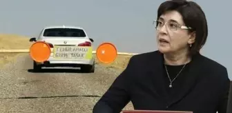 Leyla Zana'ya koronavirüs şoku! Köyüne giriş-çıkışlar kapatıldı