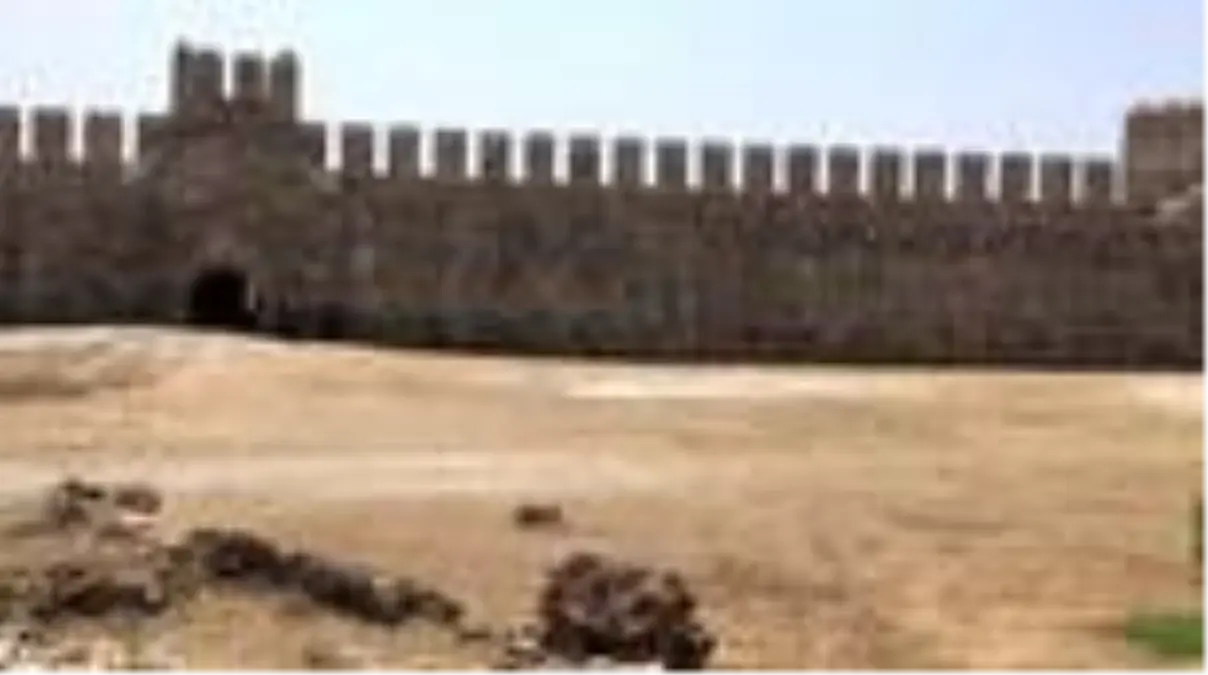 Tarihi Mamure Kalesi\'ni çevreleyen kanaldaki sevimli kaplumbağalar ilgi çekiyor