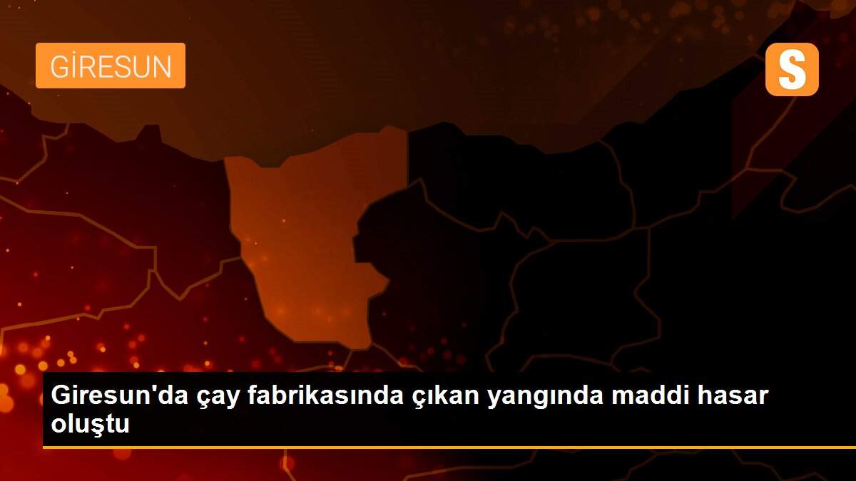 Giresun\'da çay fabrikasında çıkan yangında maddi hasar oluştu
