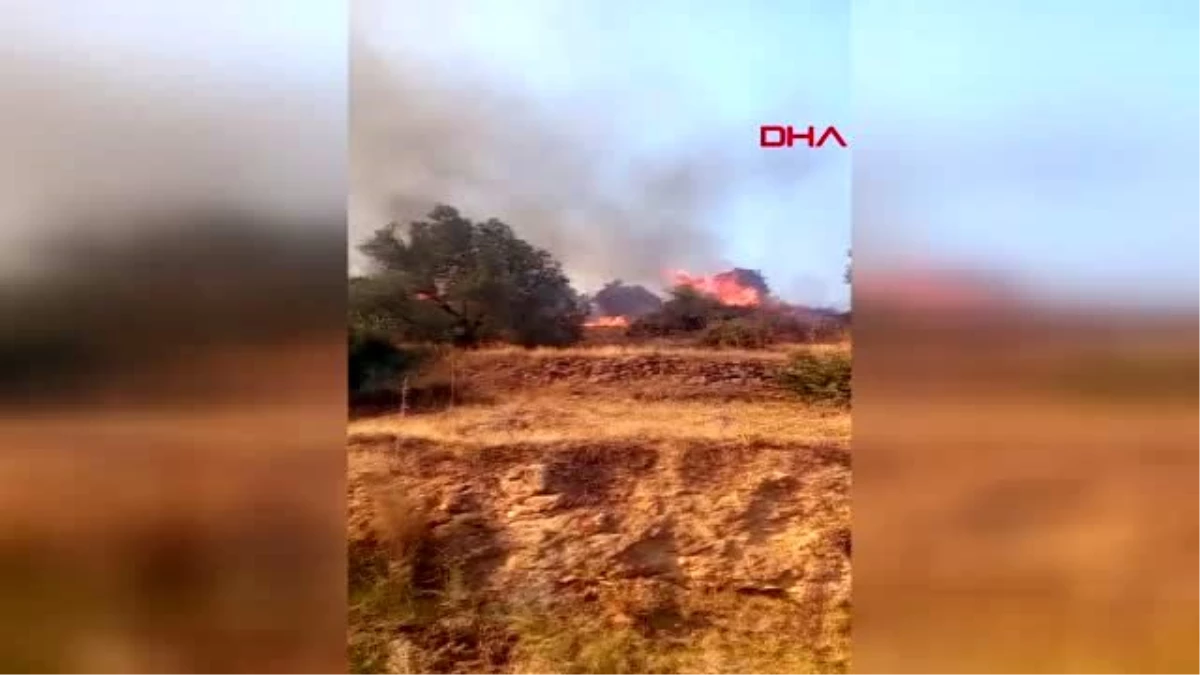 Son dakika haberi... İzmir\'in Kiraz ilçesinde tarım arazisinde çıkan yangın 1 saatte söndürüldü