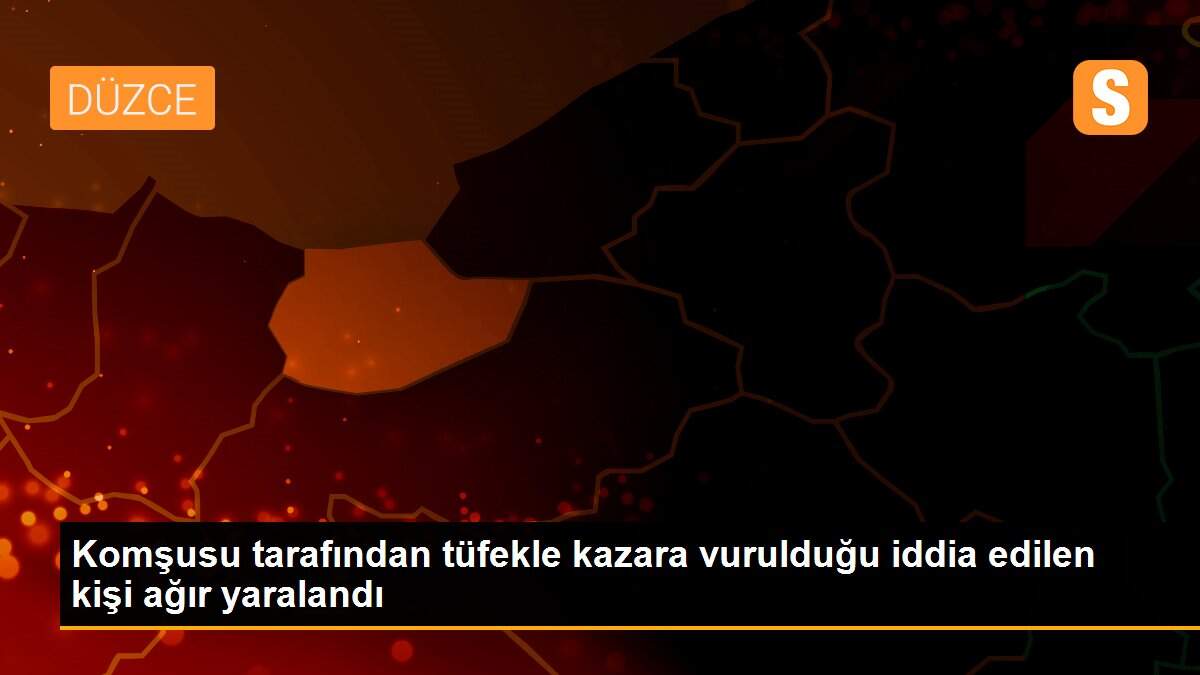 Komşusu tarafından tüfekle kazara vurulduğu iddia edilen kişi ağır yaralandı