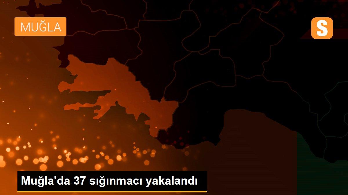 Muğla\'da 37 sığınmacı yakalandı