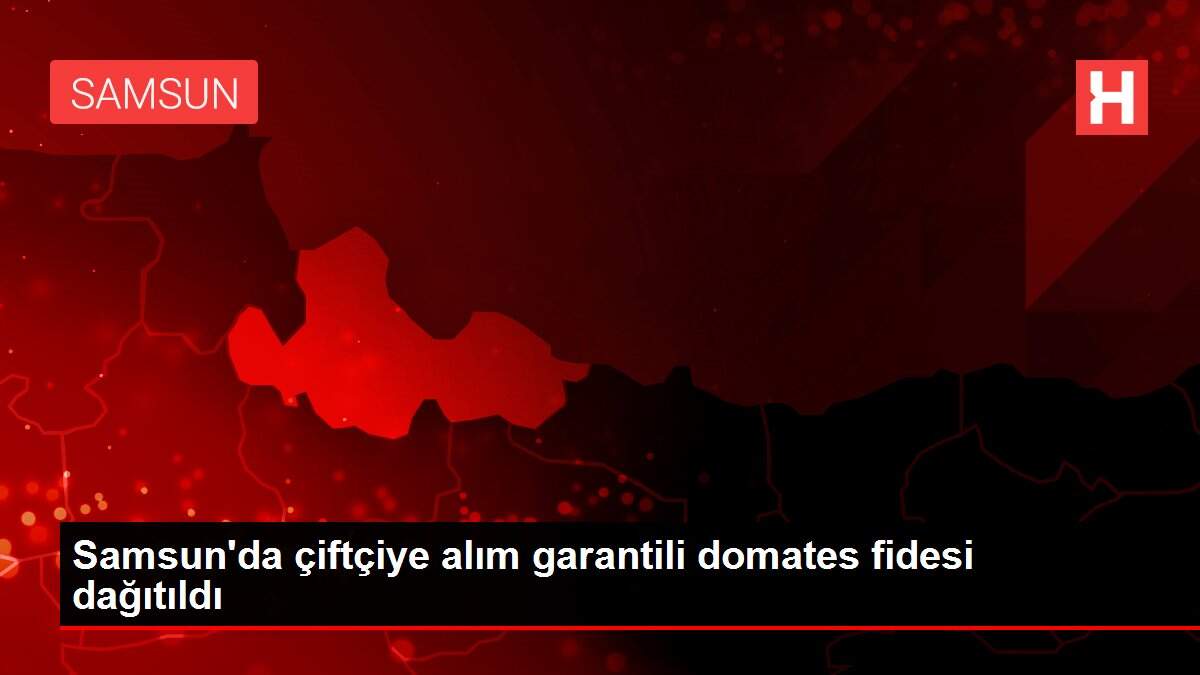 Samsun'da çiftçiye alım garantili domates fidesi dağıtıldı