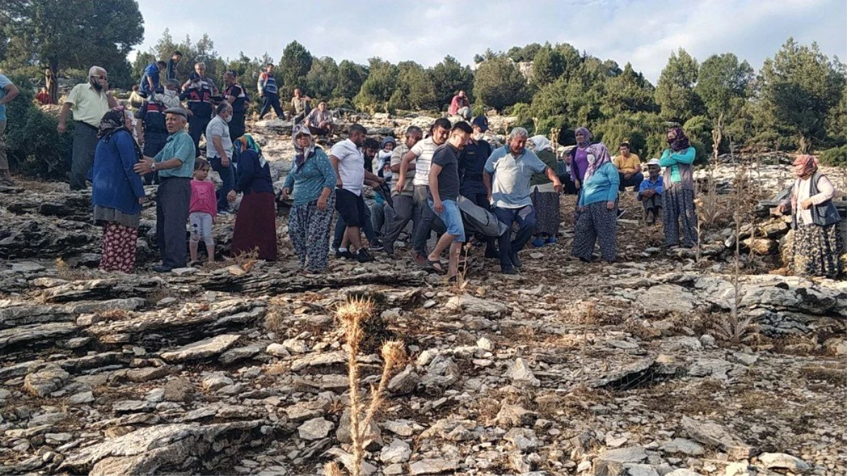 Sığındığı ağacın altında ölü bulundu