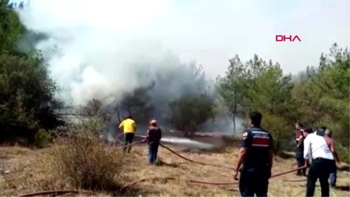 Sinop\'ta 2 ilçedeki ormanlık alanlarda yangın