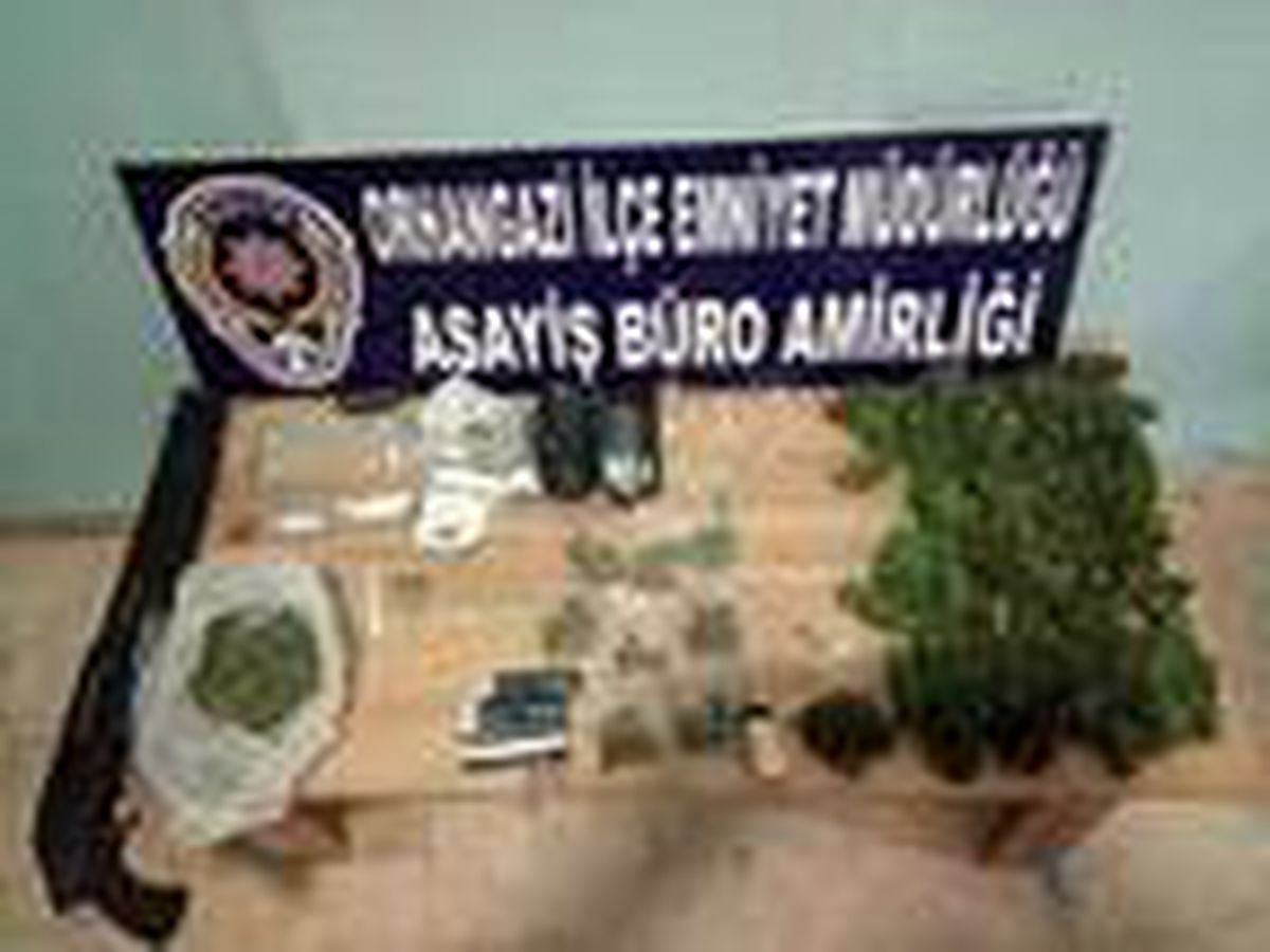 Bursa\'da 283 kök Hint keneviri ele geçirildi