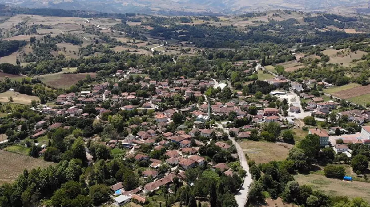 Halk korkudan su içemiyor! Kocaeli\'de dereye atılan kurban atıkları 150 kişiyi zehirledi