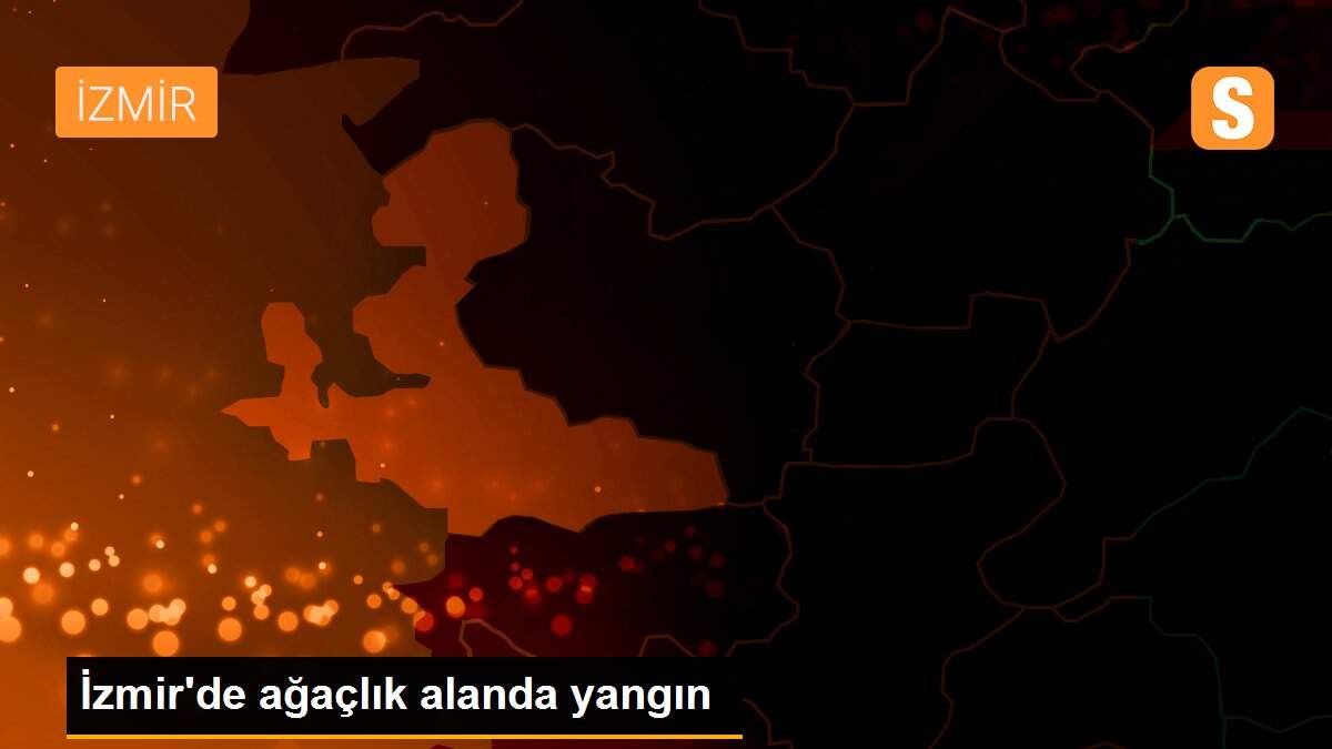 İzmir\'de ağaçlık alanda yangın