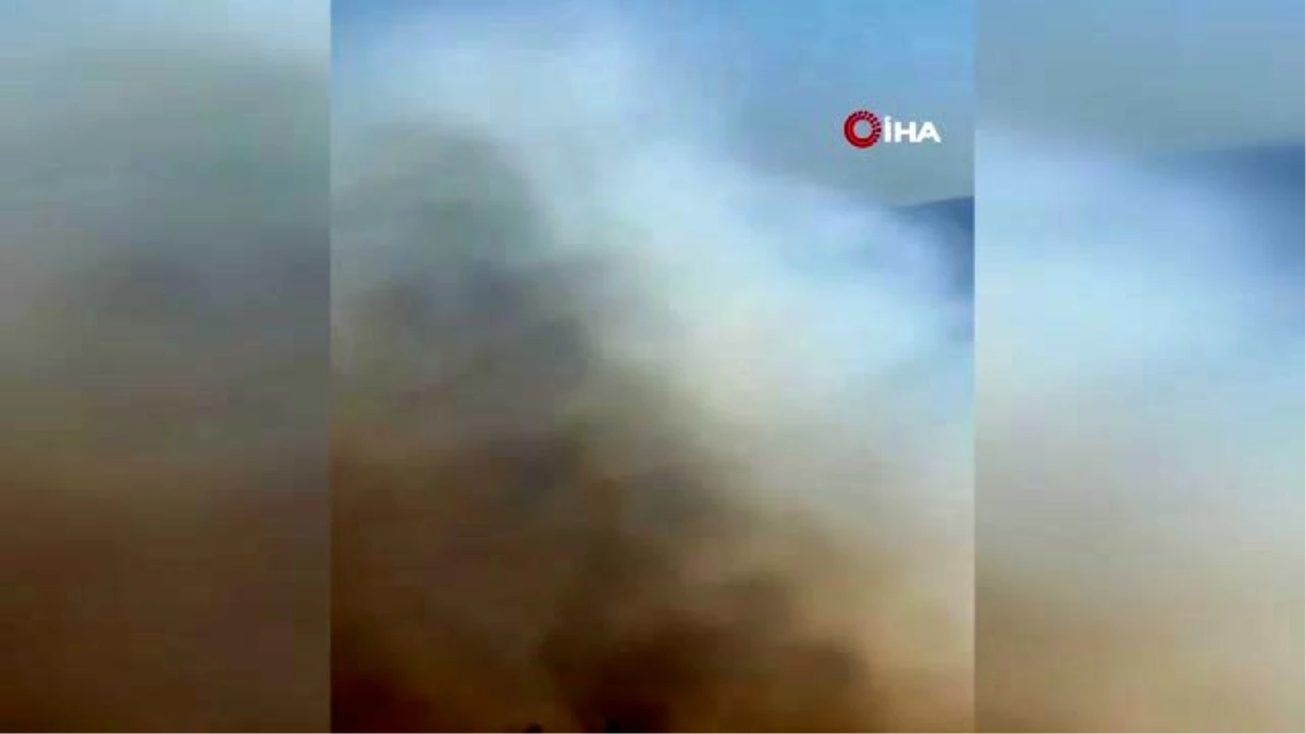 İzmir\'de askeri alanda orman yangını