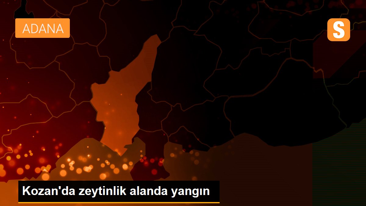 Son dakika haberleri | Kozan\'da zeytinlik alanda yangın