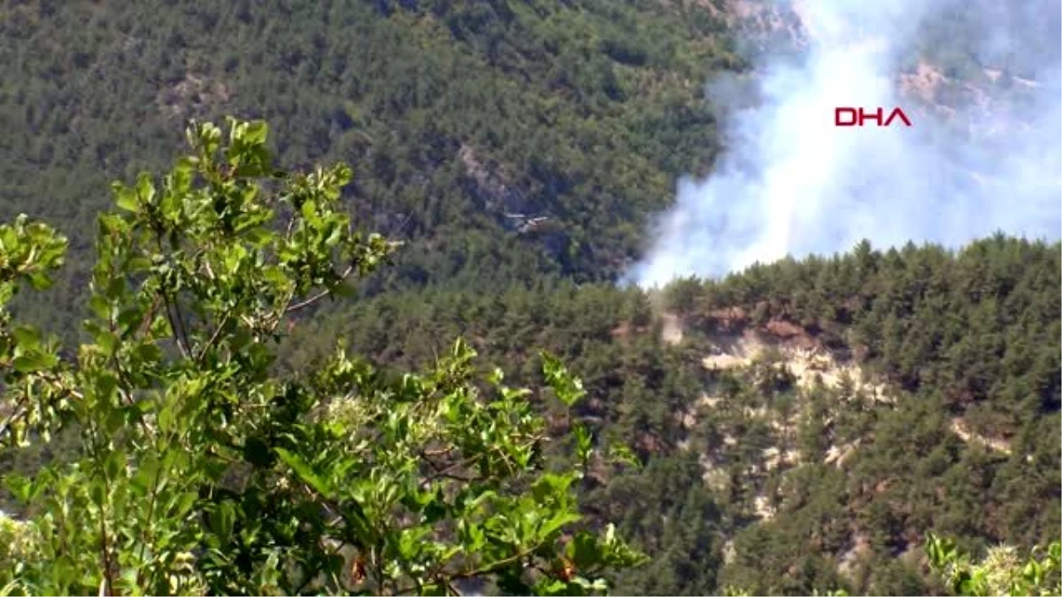 Sinop\'taki orman yangını \'ateş kuşu\'nun desteğiyle kontrol altında