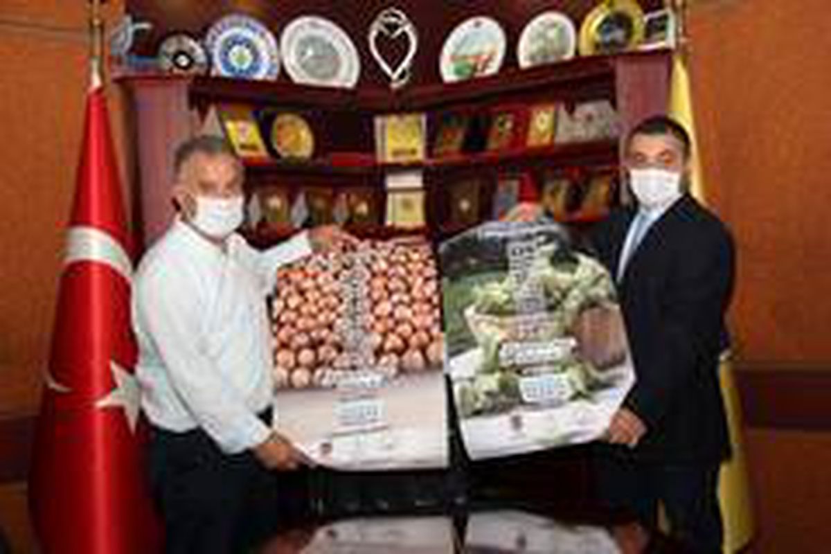TTB Başkanı Eyyüp Ergan\'dan fındık hasadı öncesi Covid-19 uyarısı