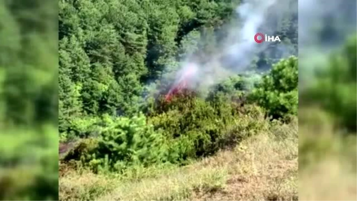 Son dakika haberleri: Zonguldak\'ta orman yangını