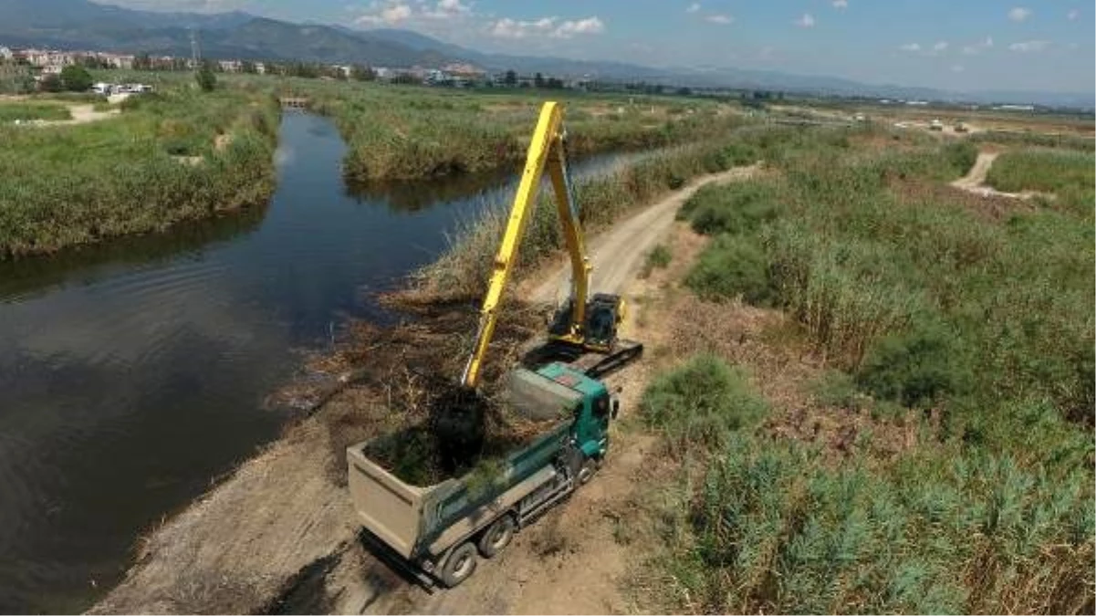 Balıkesir Büyükşehir Belediyesi, deniz kirliliği ile mücadele ediyor