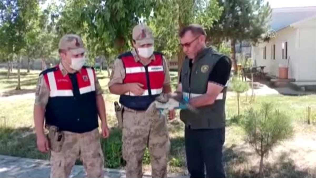 Jandarma personelinin yaralı bulduğu kuş tedavi altına alındı