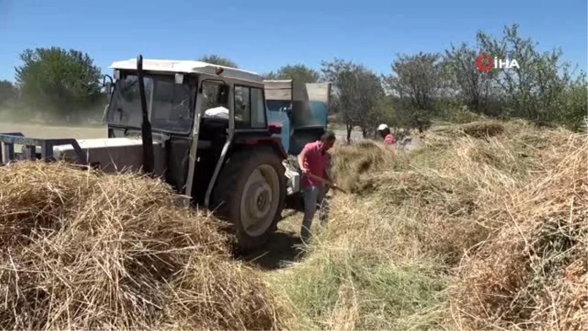 Kavurucu sıcakta çiftçilerin zorlu mesaisi