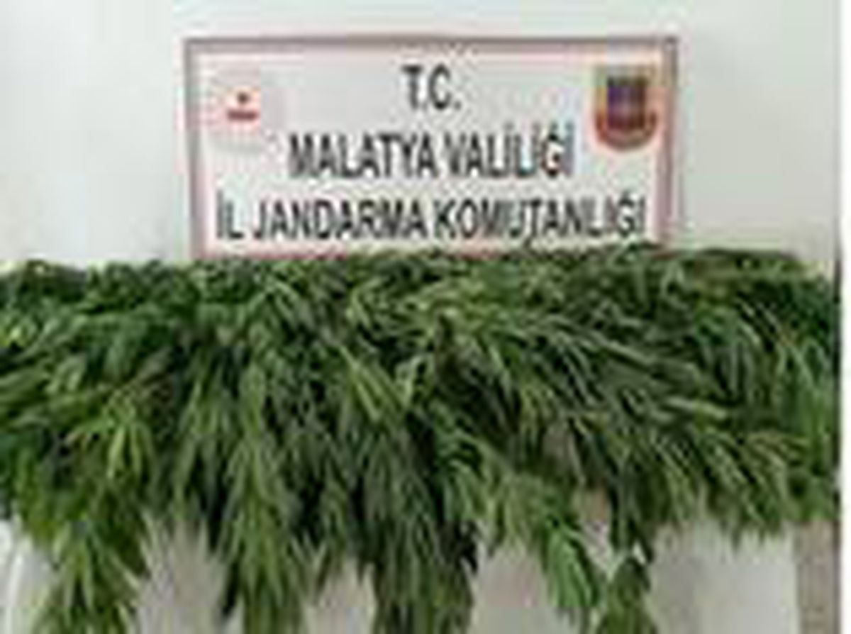 Malatya\'da uyuşturucuya darbe