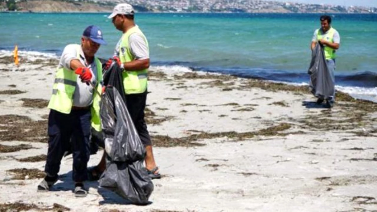 Marmara Ereğlisi sahilinden 500 ton çöp toplandı