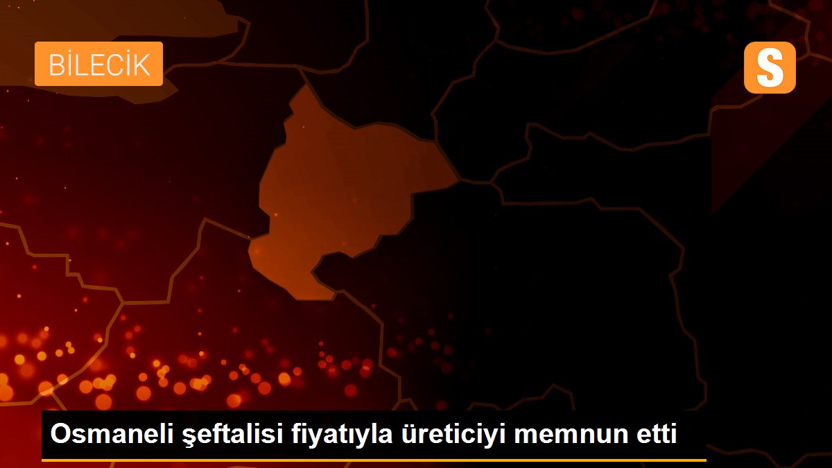 Osmaneli şeftalisi fiyatıyla üreticiyi memnun etti