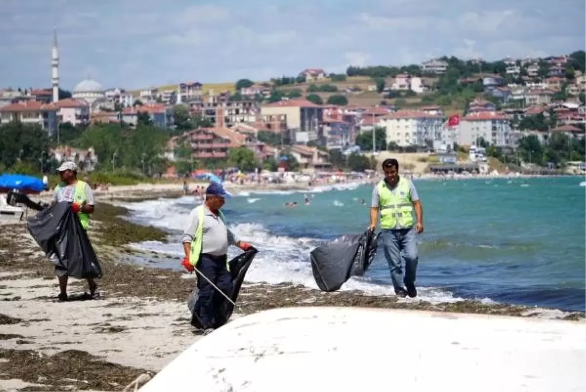 Tekirdağ\'ın tatil beldesinde 500 ton çöp toplandı