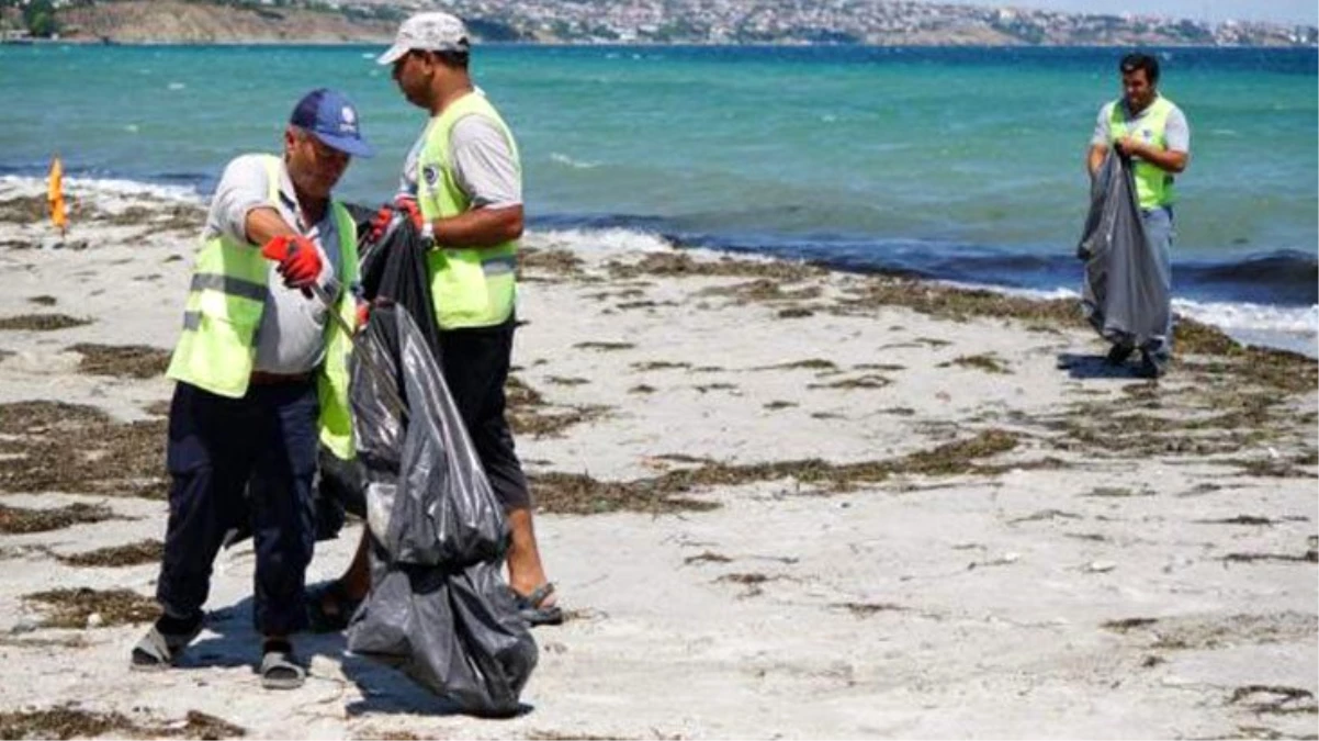 Tekirdağ\'ın tatil beldesinde bayram sonrası sahilden 500 ton çöp toplandı