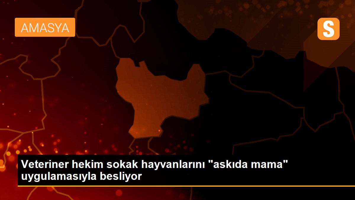 Veteriner hekim sokak hayvanlarını "askıda mama" uygulamasıyla besliyor