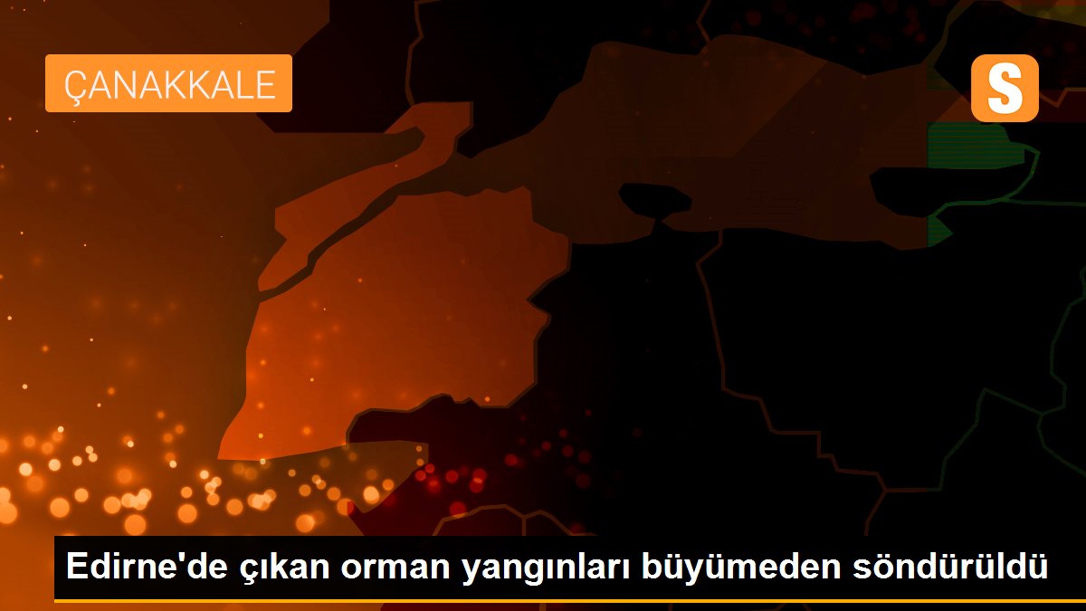 Edirne\'de çıkan orman yangınları büyümeden söndürüldü