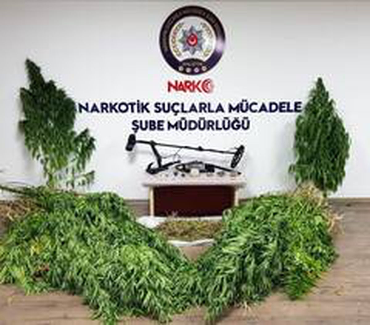 Malatya\'da Hint keneviri ve tarihi eser operasyonu