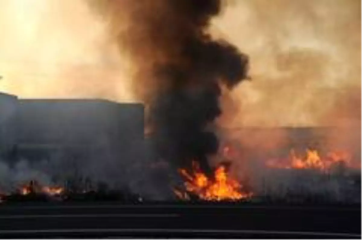 Sigara izmariti tarlayı küle çevirdi,TIR dorselerini vatandaşların duyarlılığı kurtardı