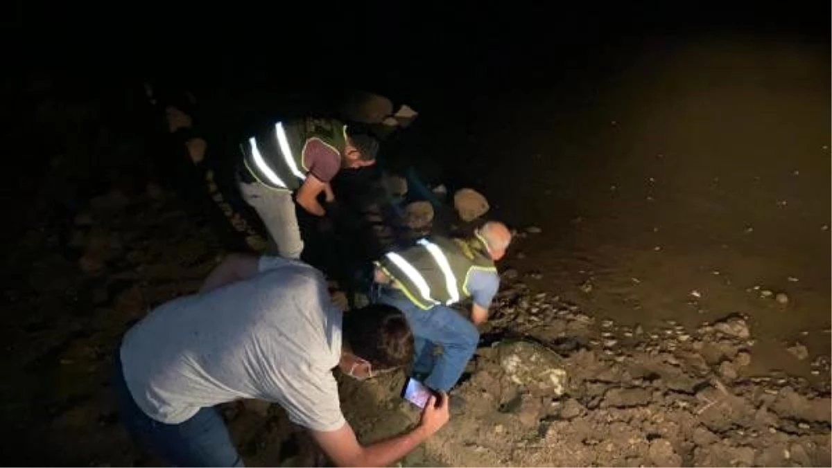 Şırnak\'ta kaçak kurbağa avına 737 bin lira ceza