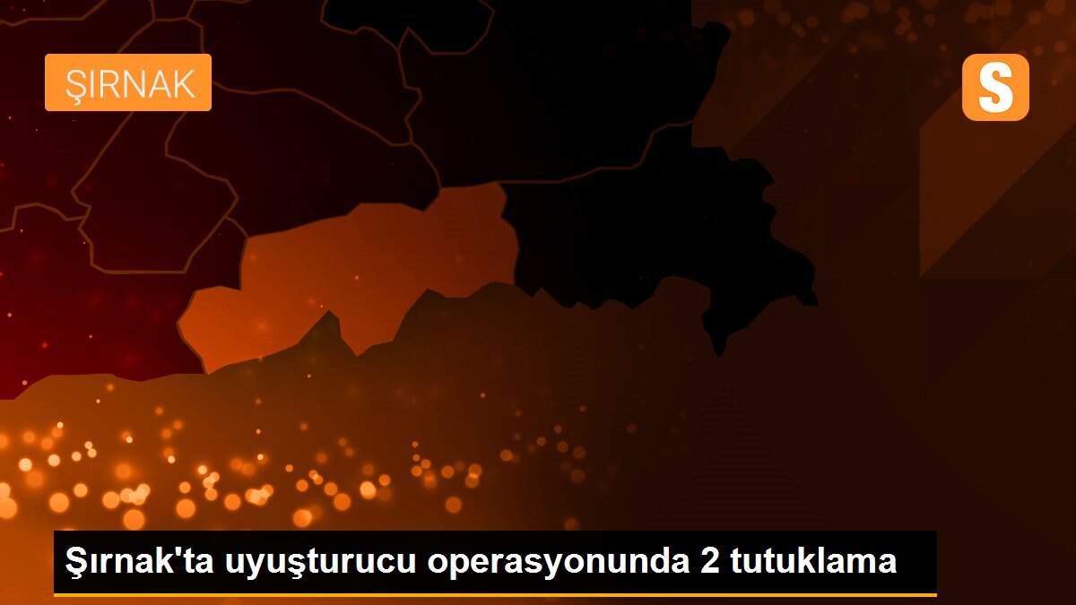 Şırnak\'ta uyuşturucu operasyonunda 2 tutuklama