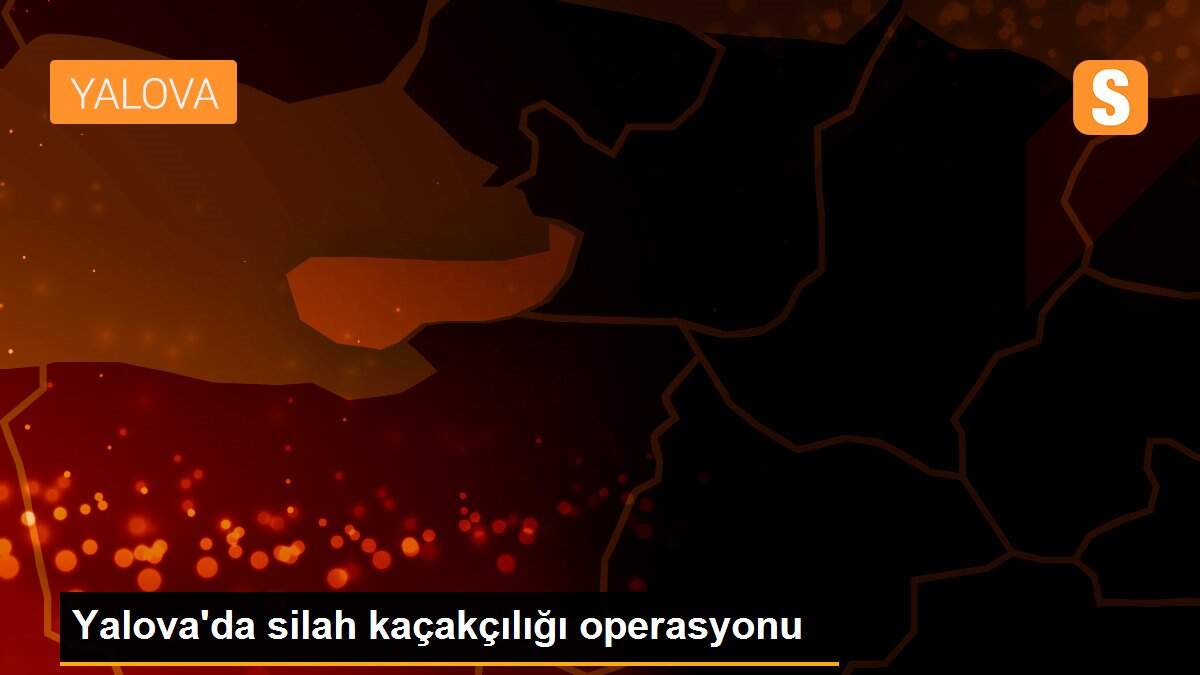 Yalova\'da silah kaçakçılığı operasyonu