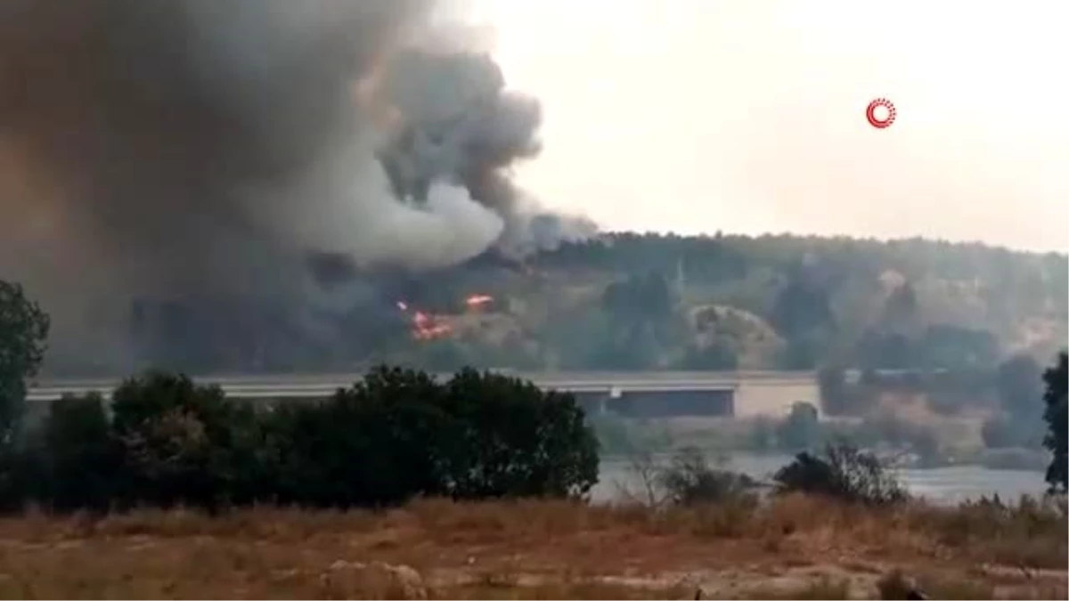 Bulgaristan\'da yangınlar nedeniyle 4 ilçede felaket durumu ilan edildi
