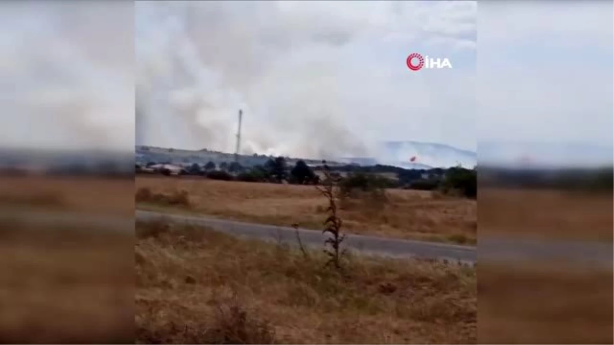 Son dakika haber! Bulgaristan-Türkiye sınırında orman yangını