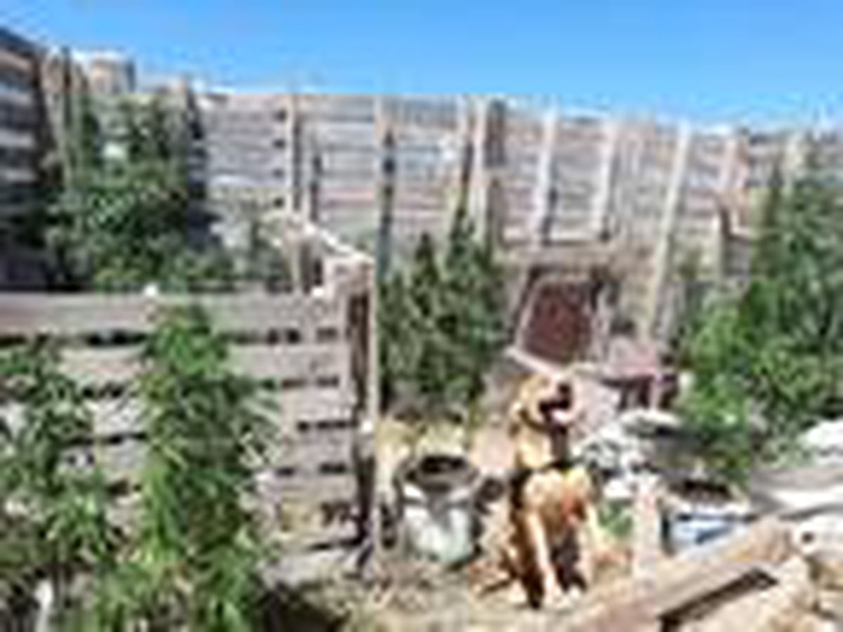 Çanakkale\'de uyuşturucu operasyonu: 1 gözaltı