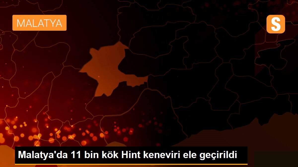 Malatya\'da 11 bin kök Hint keneviri ele geçirildi