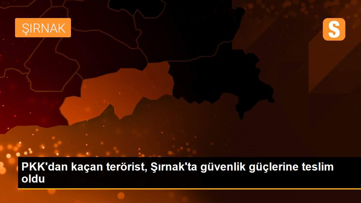 PKK\'dan kaçan terörist, Şırnak\'ta güvenlik güçlerine teslim oldu