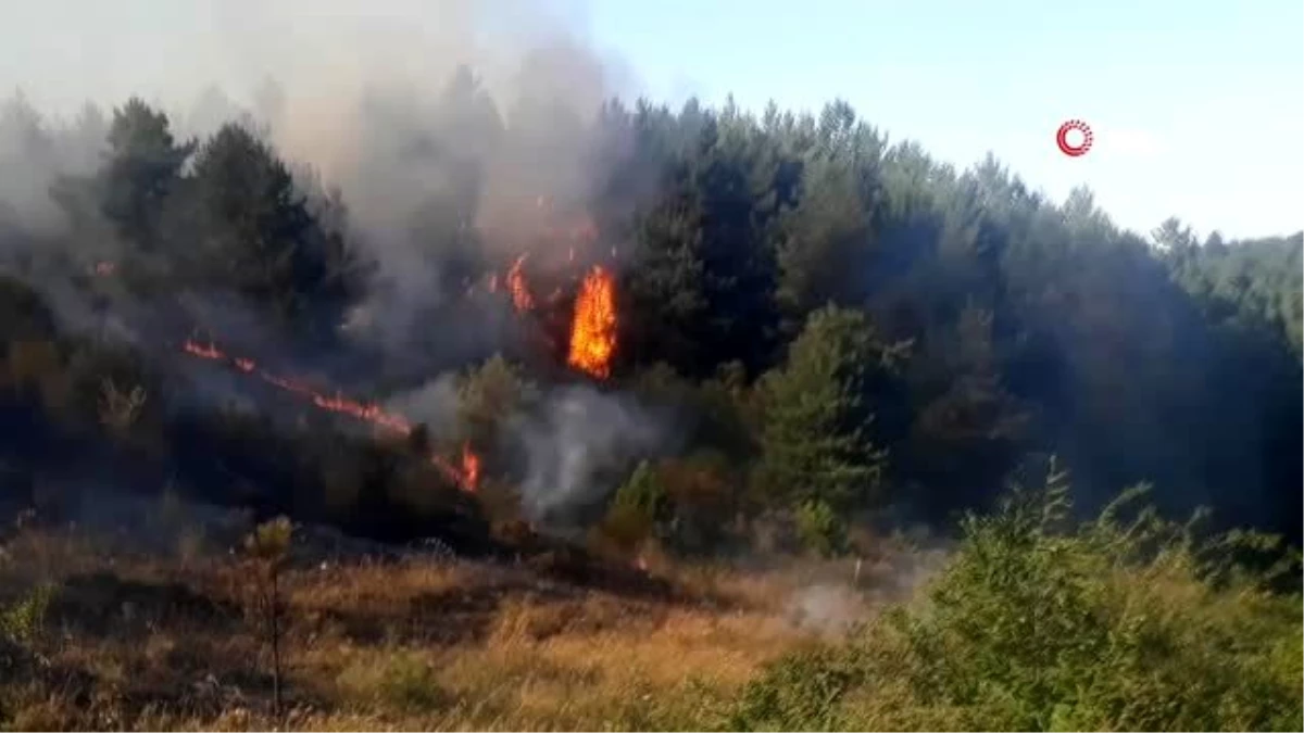 Kastamonu\'daki orman yangını söndürüldü