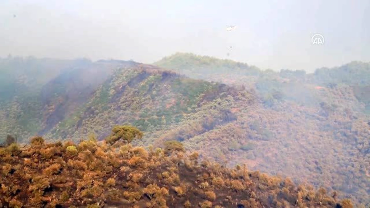 Milas\'ta çıkan orman yangınına hava ve karadan müdahale ediliyor (4)