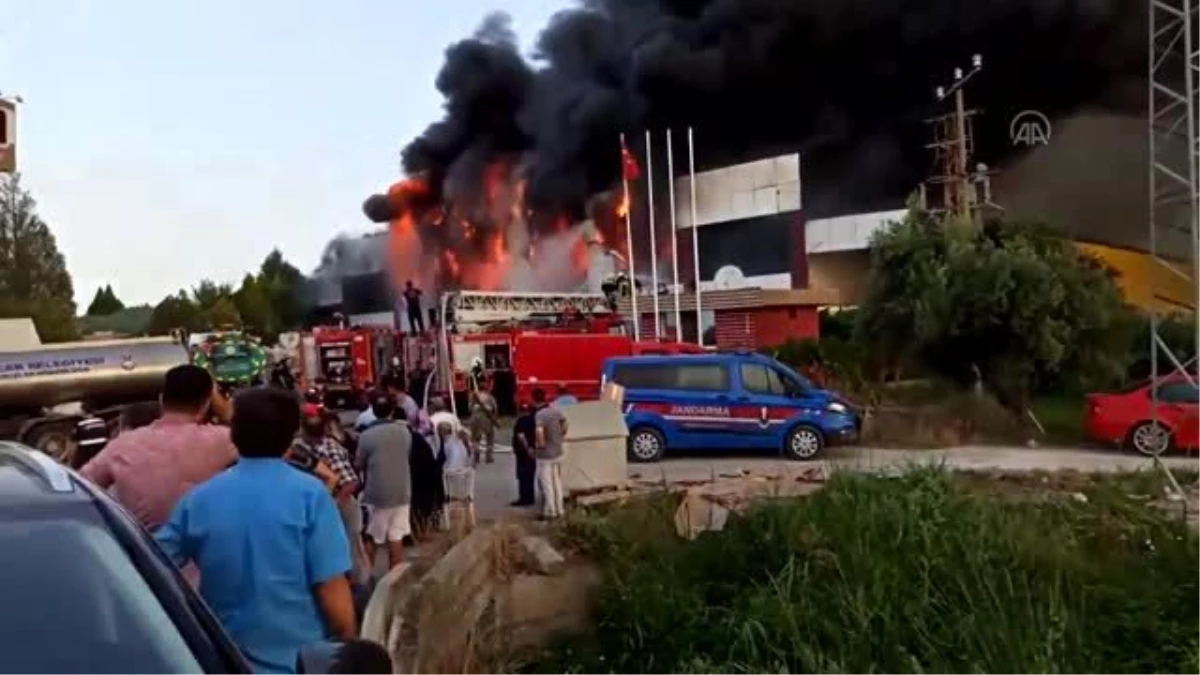 Mobilya fabrikasında yangın (2)